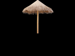 bamboo umbrella Modello 3D