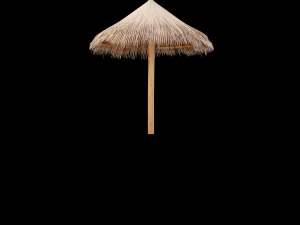 бамбуковый зонтик 3D Модель