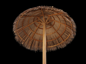 bamboo umbrella Modello 3D