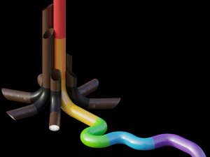 my heart beats like yours estudio guto requena 3D Model