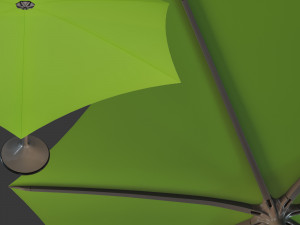 palma 3D 모델