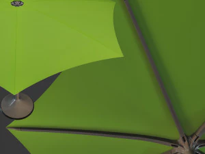 palma 3D Model