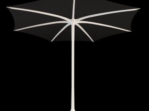 palma 3D Model
