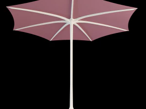palma 3D Model
