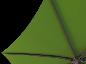 palma 3D Model