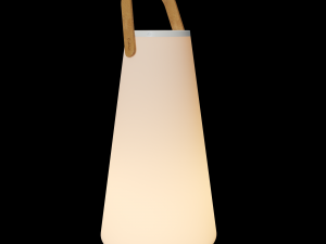 uma Modello 3D