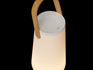 uma Modello 3D