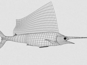 marlin blue 3D Model