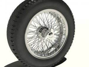 borranicinturato 3D Model