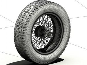 borranicinturato Model 3D