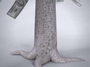 money tree Modelo 3D