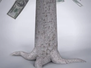 money tree 3D Model