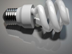 energy efficient light bulb 3D 模型