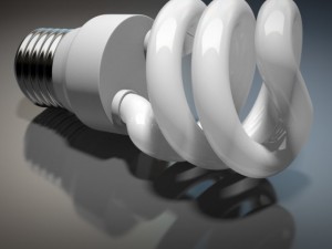 energy efficient light bulb 3D 模型