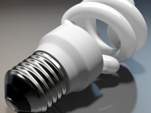 energy efficient light bulb 3D 模型