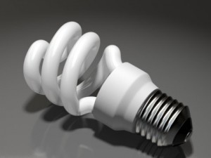 energy efficient light bulb 3D 模型