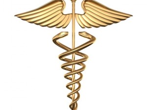 medical caduceus Modèle 3D