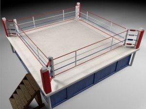 box arena Modelo 3D