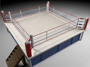 ボックスアリーナ 3Dモデル