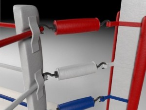 box arena Model 3D