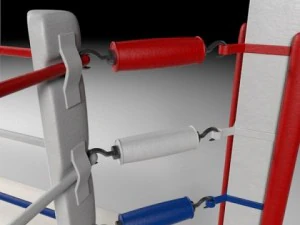 box arena 3D Model