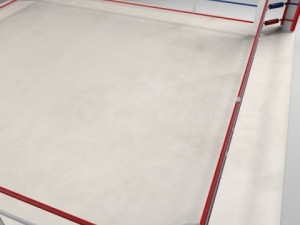 box arena Model 3D