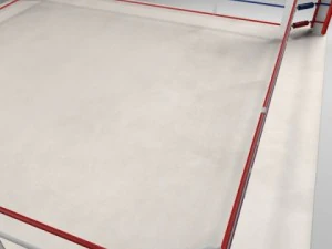 box arena 3D Model