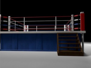 box arena Model 3D