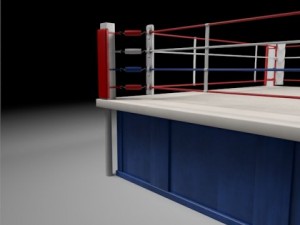 box arena Model 3D
