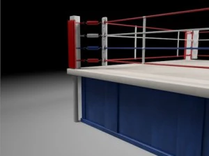 box arena 3D Model