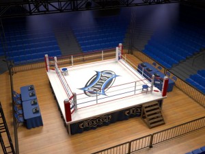 boxing stadium 3Dモデル