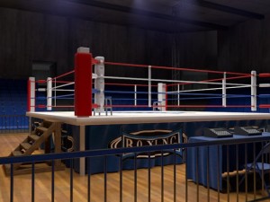 boxing stadium 3Dモデル