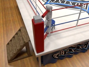 boxing stadium 3D Model