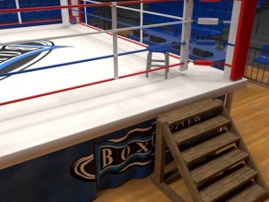 boxing stadium 3Dモデル