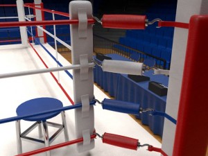 boxing stadium 3Dモデル