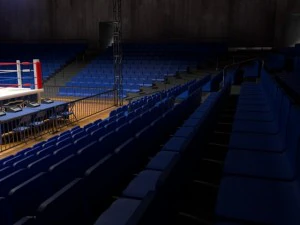boxing stadium 3D Model