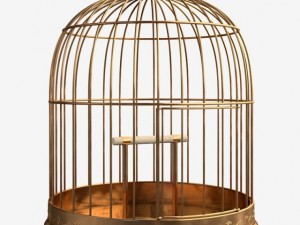 birdcage Modelo 3D