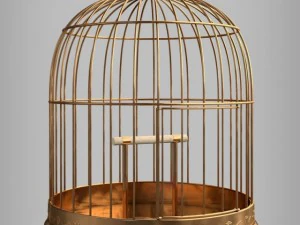 birdcage 3D Model