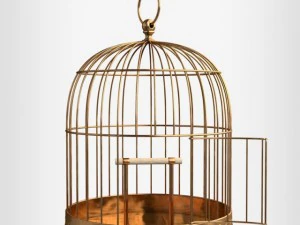 birdcage 3D Model