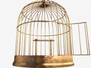 birdcage 3D 模型