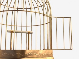 birdcage 3D 模型
