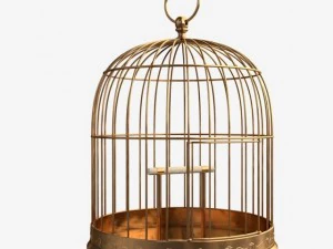 birdcage 3D Model