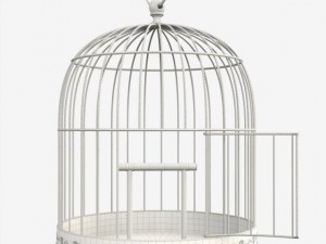 birdcage 3D 模型