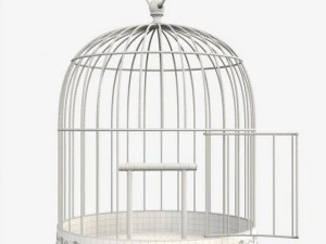 birdcage 3D Model