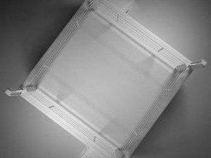 boxingwrestling ring Modello 3D