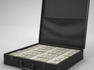 briefcase and money 3D Model