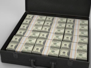 briefcase and money 3D Model