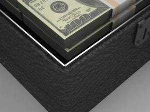 briefcase and money 3D Model