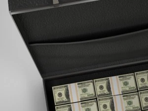 briefcase and money 3D Model