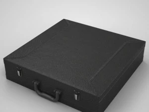 briefcase and money 3D Model